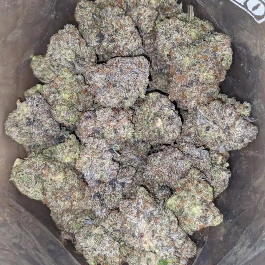 King Louis XIII