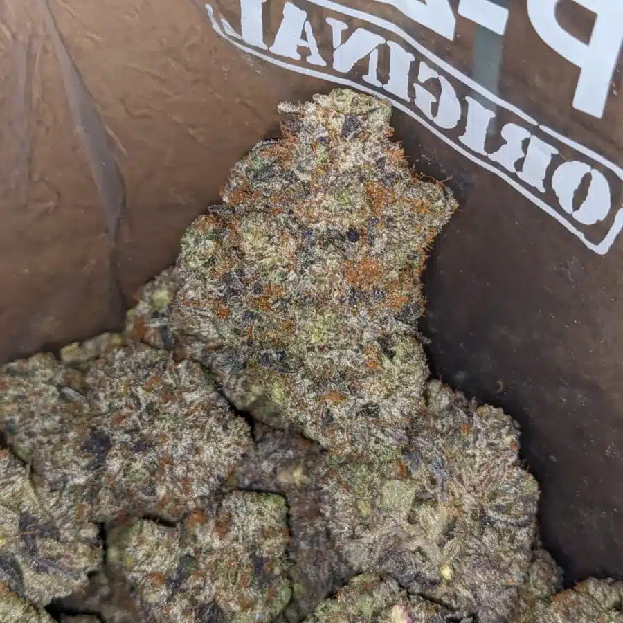 King Louis Xiii 4 I King Louis XIII