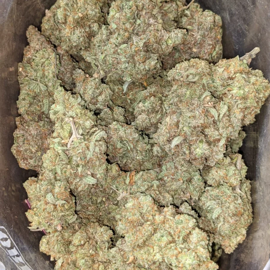 Lemon Cherry Gelato - Image 5