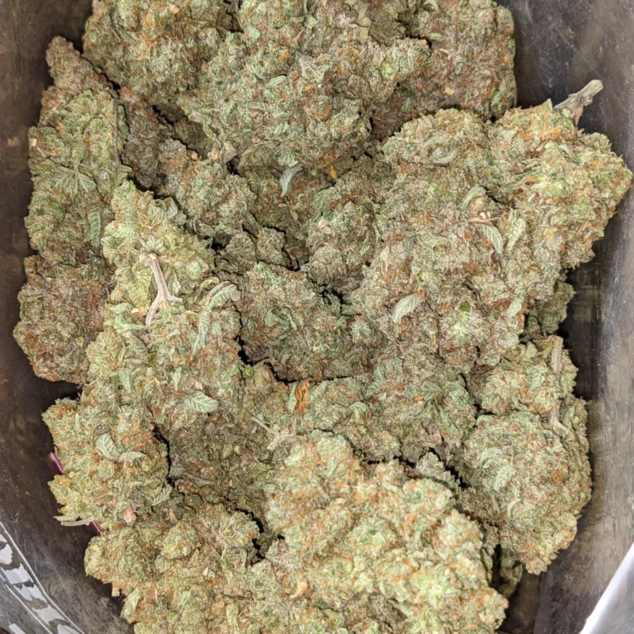 Lemon Cherry Gelato - Image 4