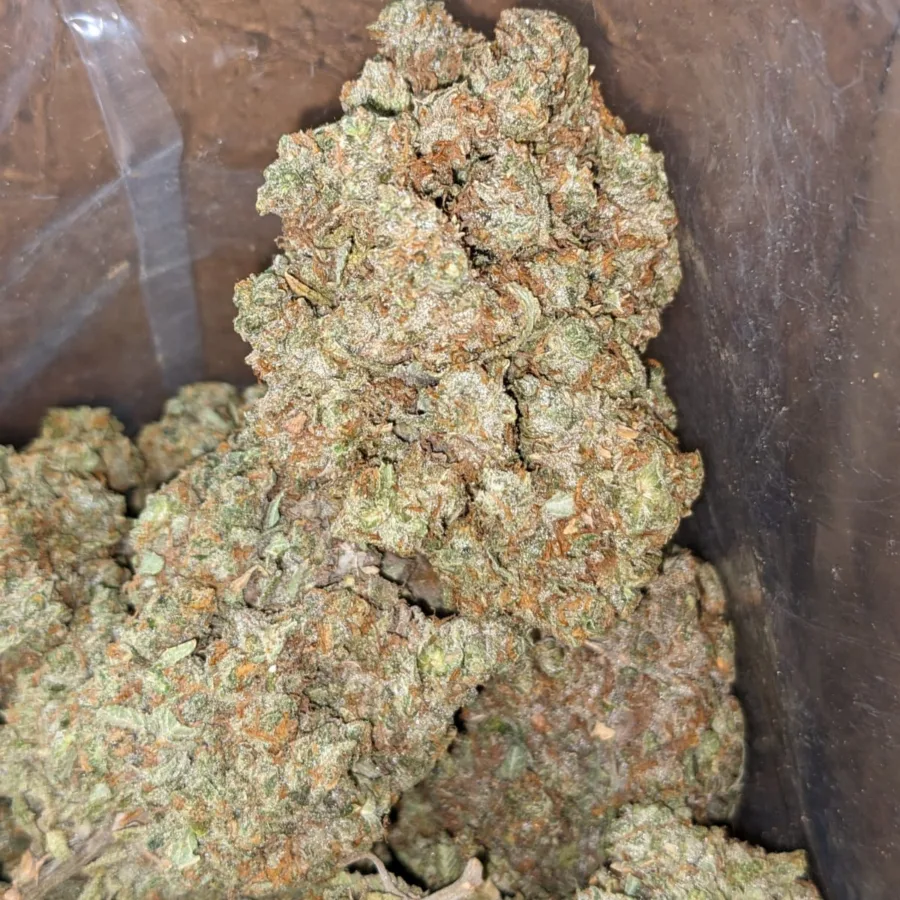 Lemon Cherry Gelato - Image 7