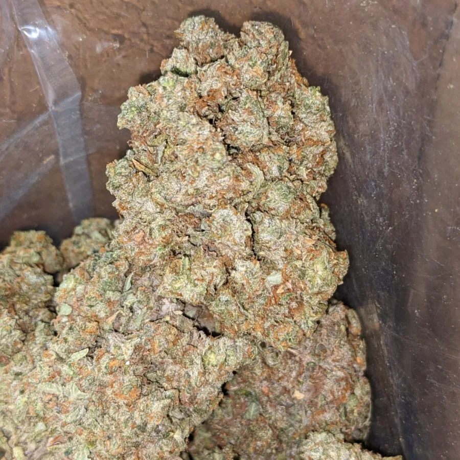 Lemon Cherry Gelato - Image 6