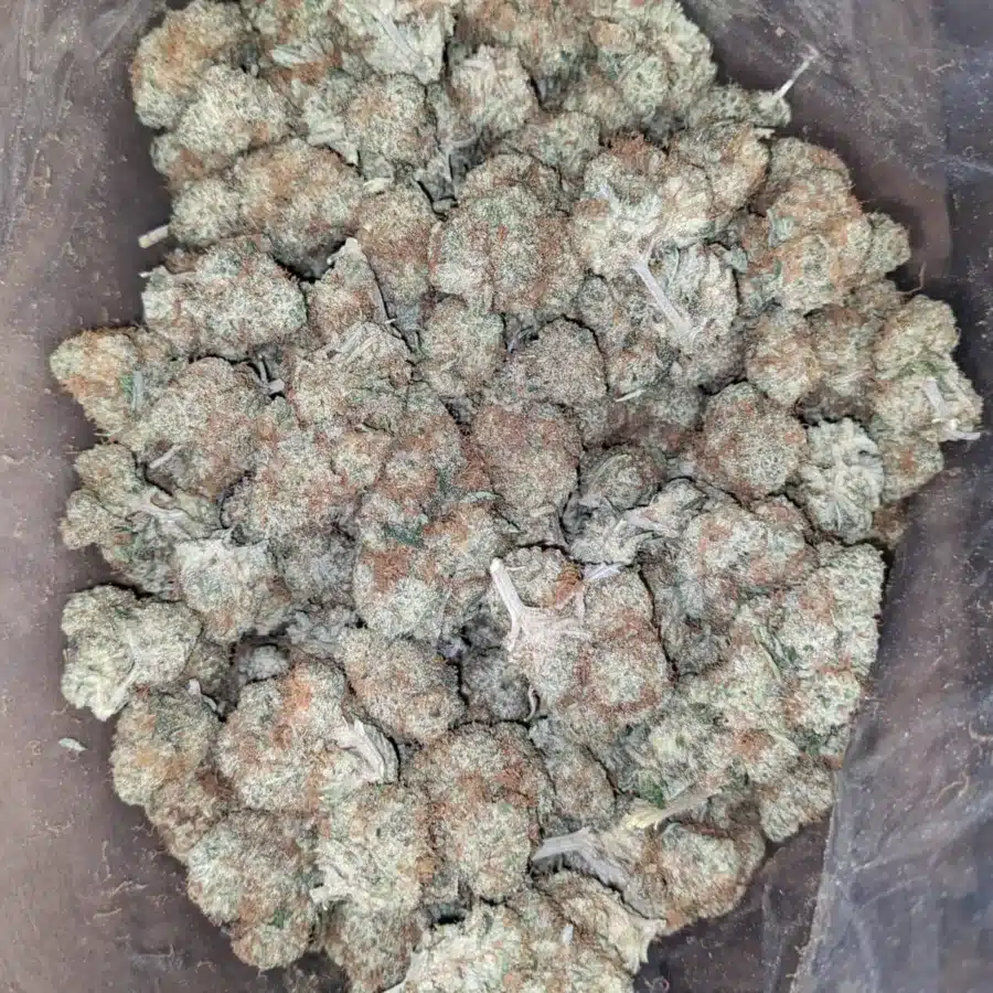 Lemon haze 2 1 I $ 49 Oz - Lemon Haze