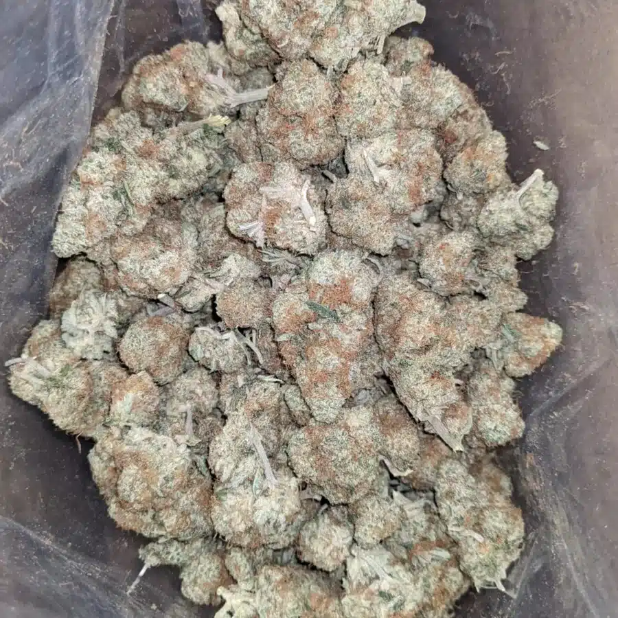 Lemon haze 3 1 I $ 49 Oz - Lemon Haze