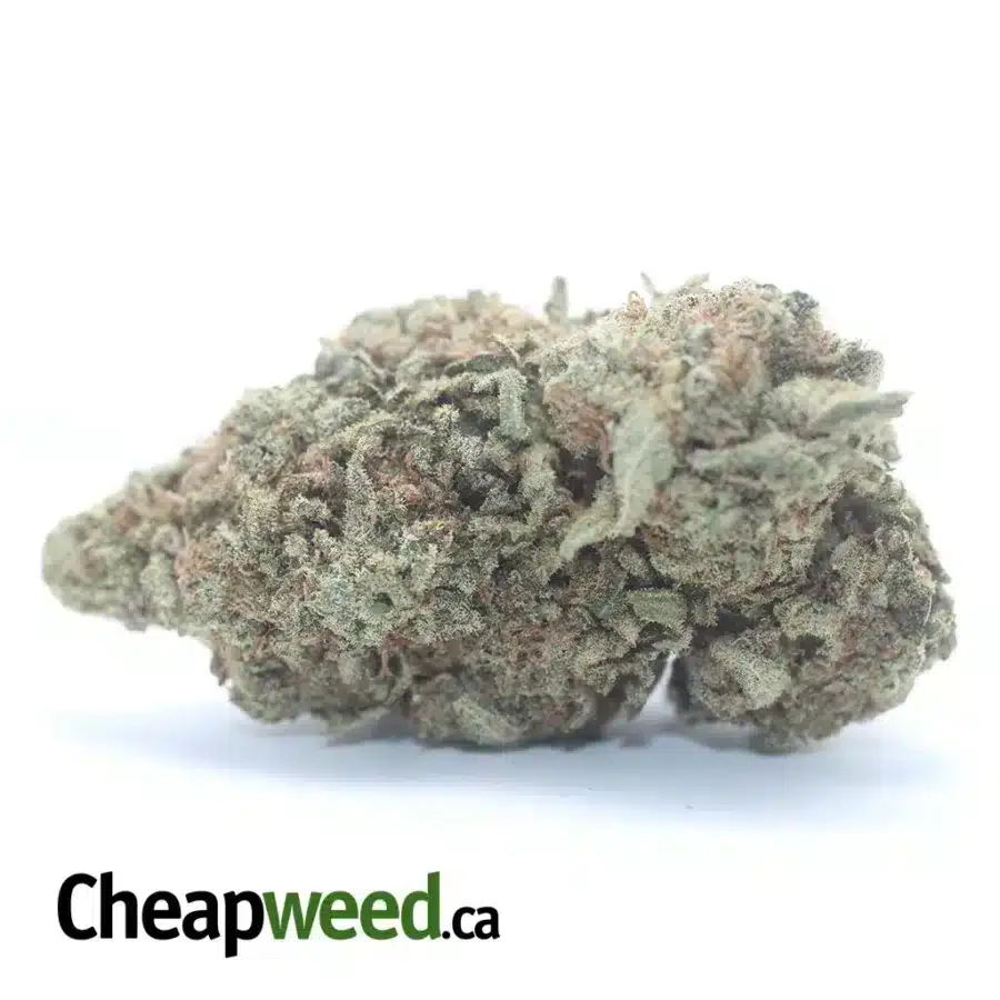 $ 46 Oz - Meat Breath