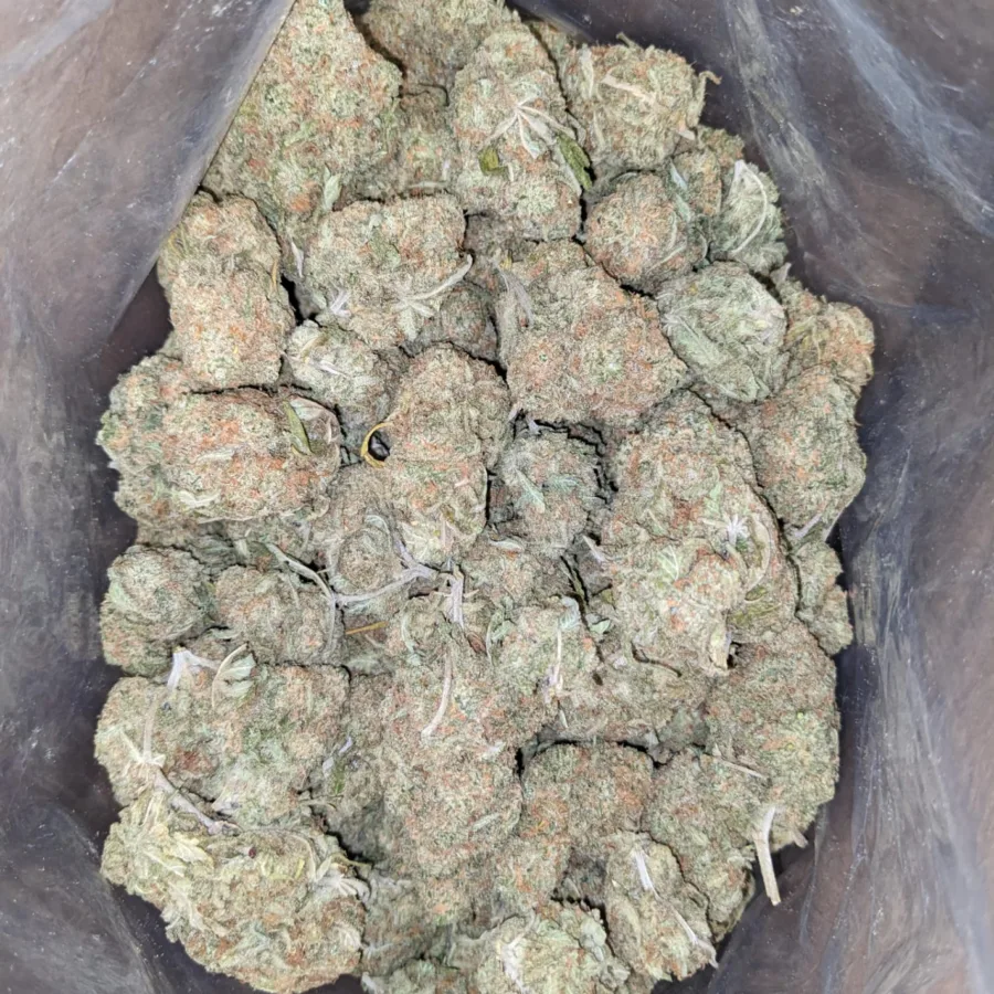 Mango Kush 1 1 I Mango Kush