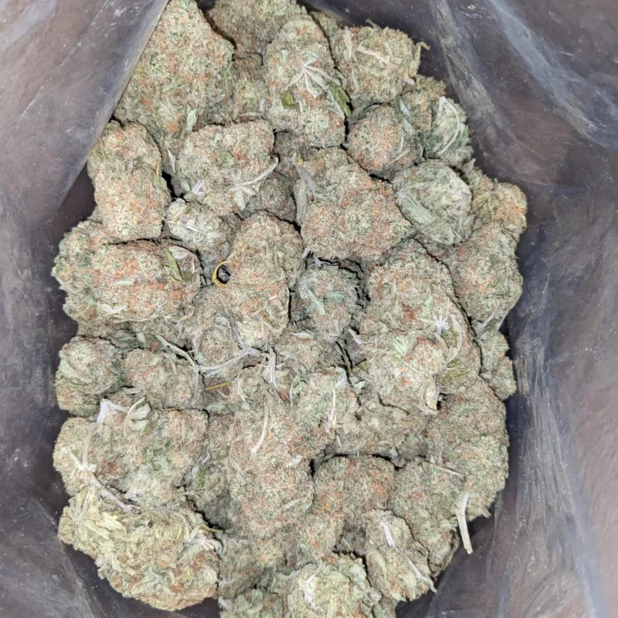 Mango Kush 2 1 I Mango Kush