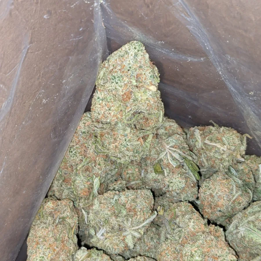 Mango Kush 3 1 I Mango Kush