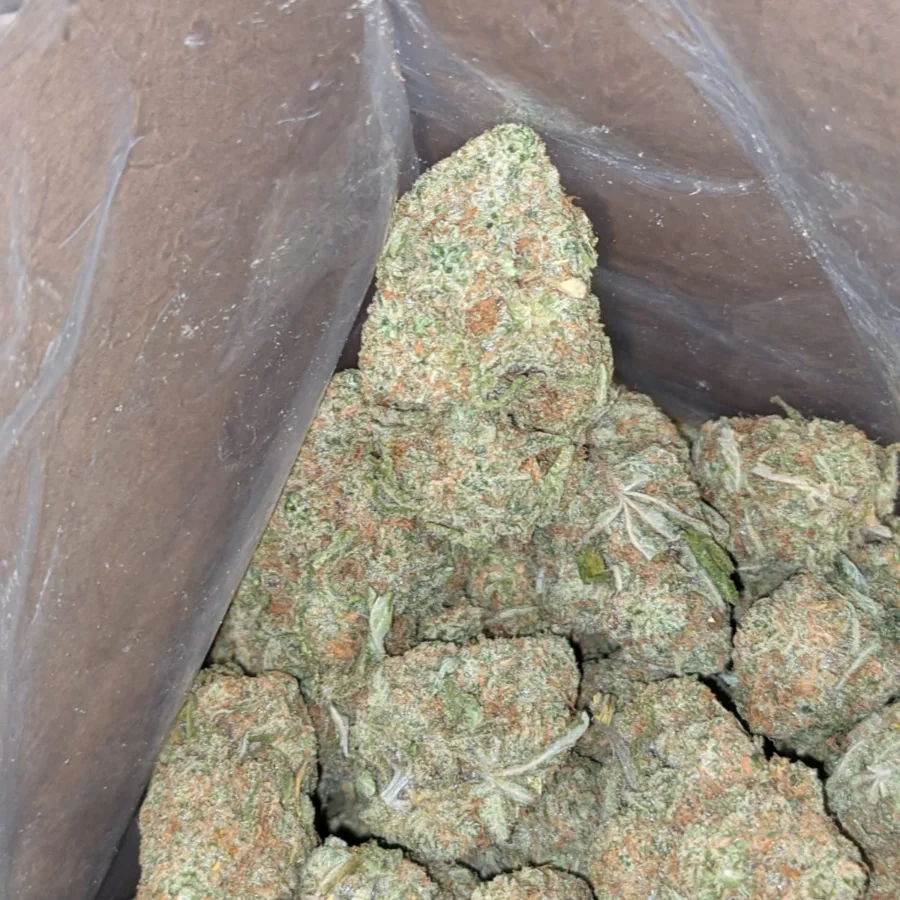 Mango Kush 4 1 I Mango Kush