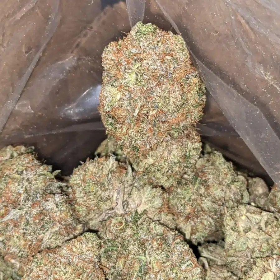 Master kush AAA 4 I Master Kush AAA