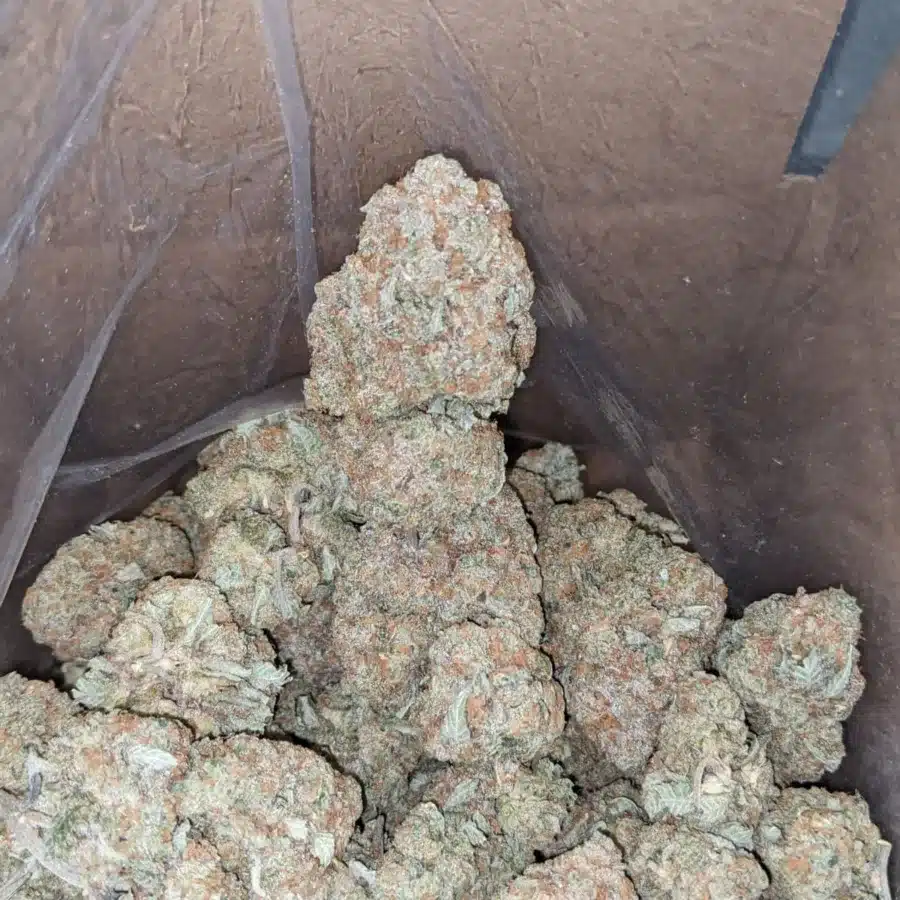 Meat breath 4 I Meat Breath