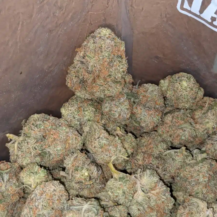 Ny diesel 1 I NY Diesel