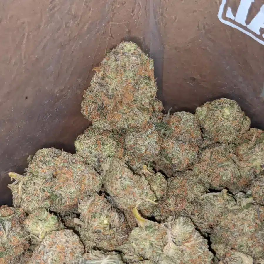 Ny diesel 2 I NY Diesel