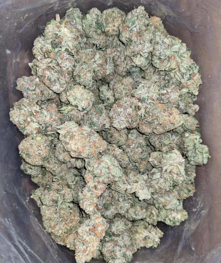Og wreck 1 1 I OG Wreck