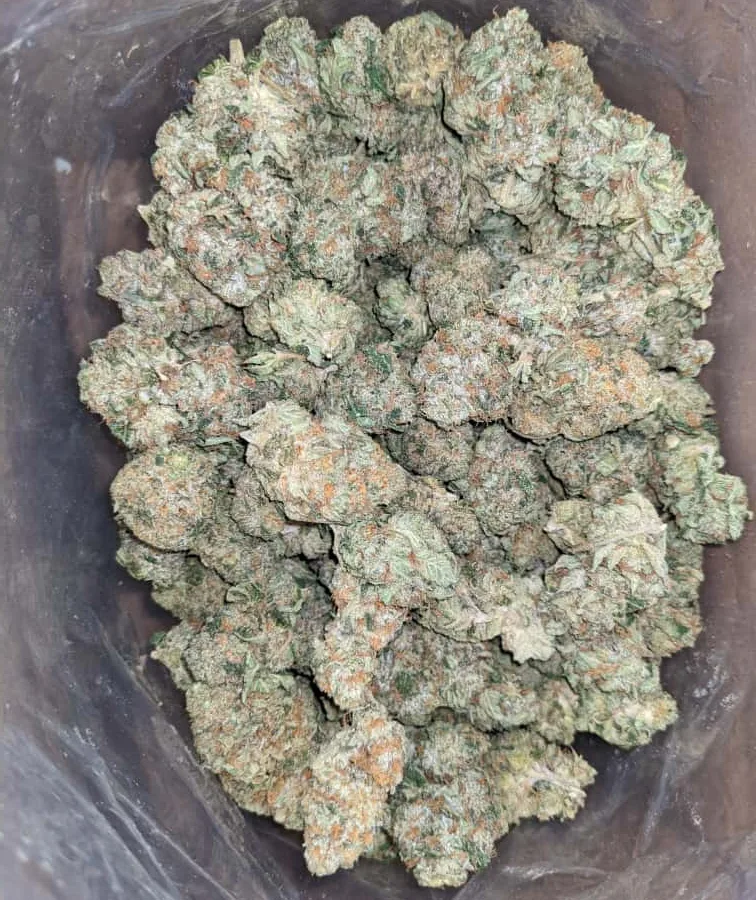 Og wreck 2 1 I OG Wreck