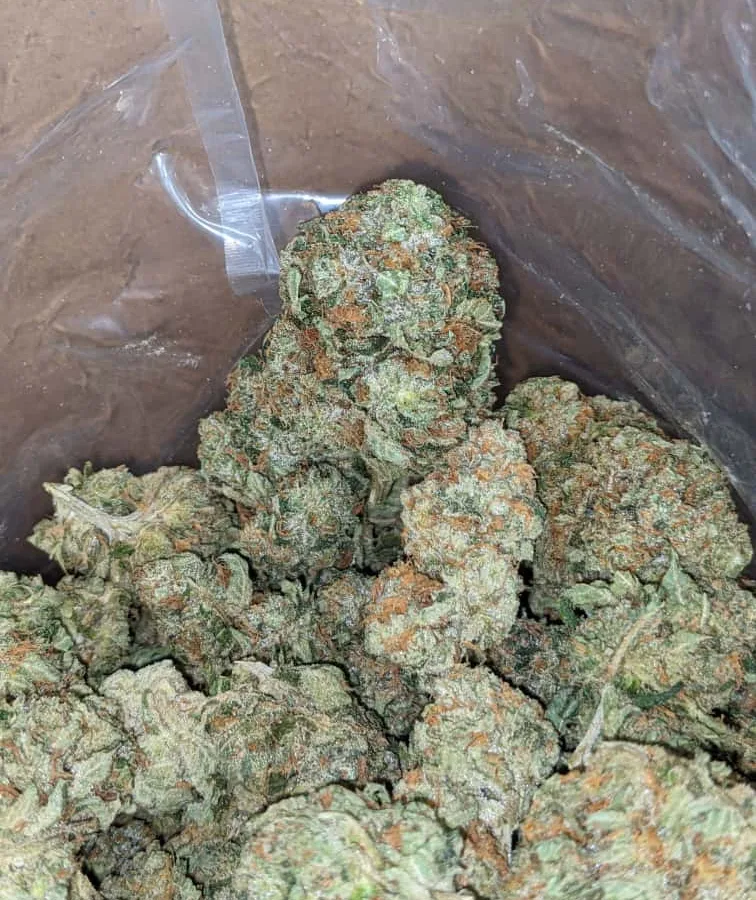 Og wreck 3 1 I OG Wreck