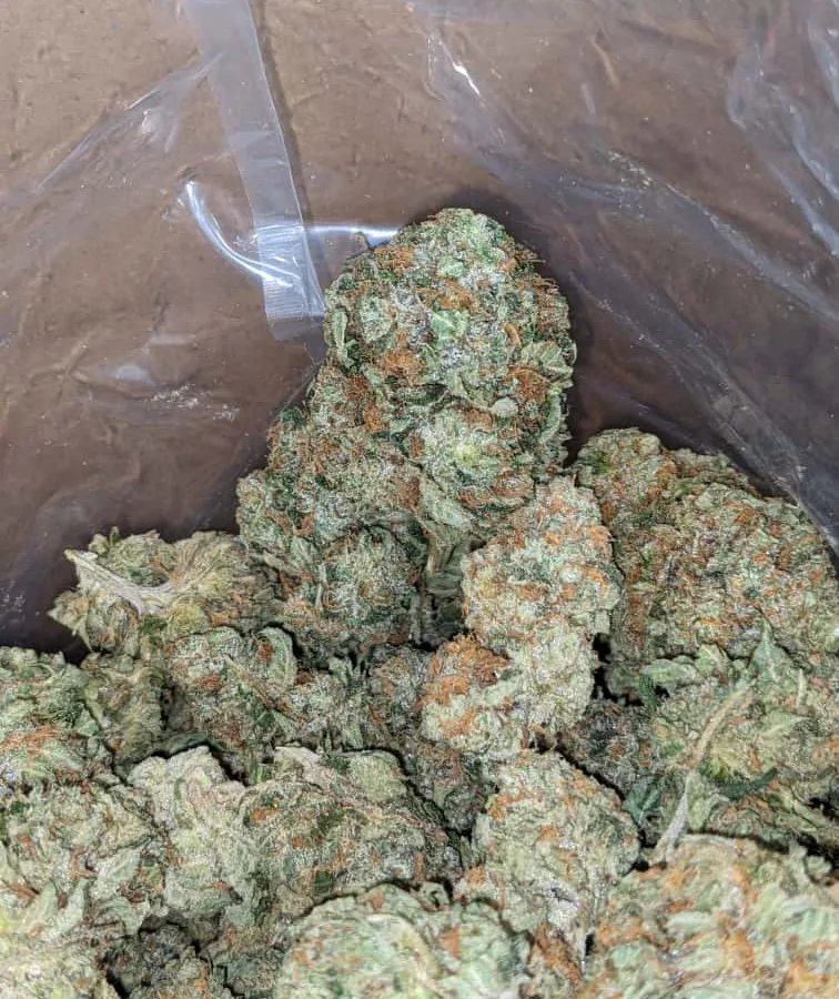 Og wreck 4 I OG Wreck