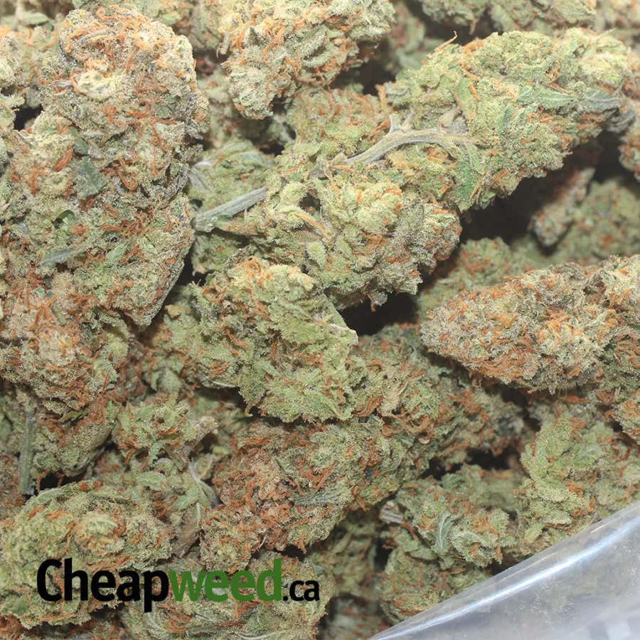 PINEAPPLE EXPRESS 1 I Pineapple Express