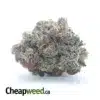 Platinum Rockstar Kush