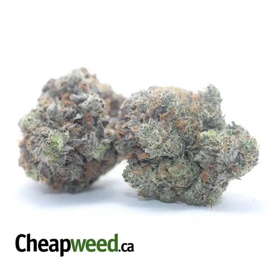 PLATNIUM PINK ROCKSTAR 3 I Platinum Rockstar Kush