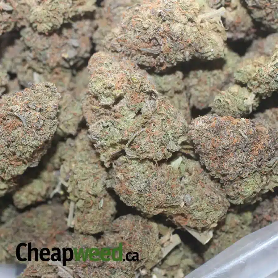 PURPLE RUNTZ 1 I $ 52 Oz - Purple Runtz