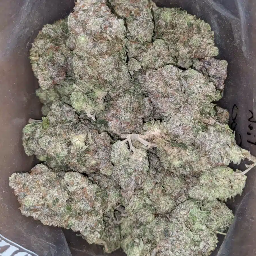 Pink Goo 1 I Pink Goo