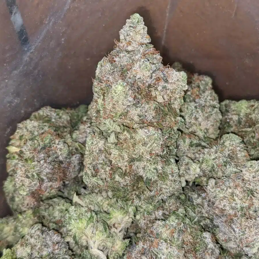 Pink Goo 3 I Pink Goo