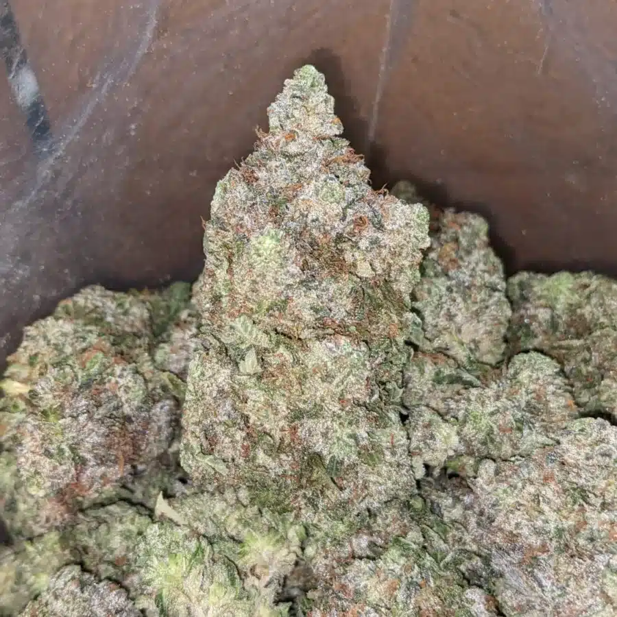 Pink Goo 4 I Pink Goo