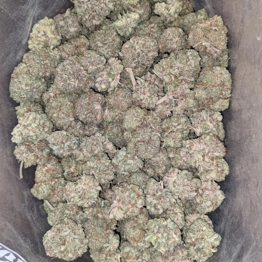 Purple Kush 2 1 I Purple Kush