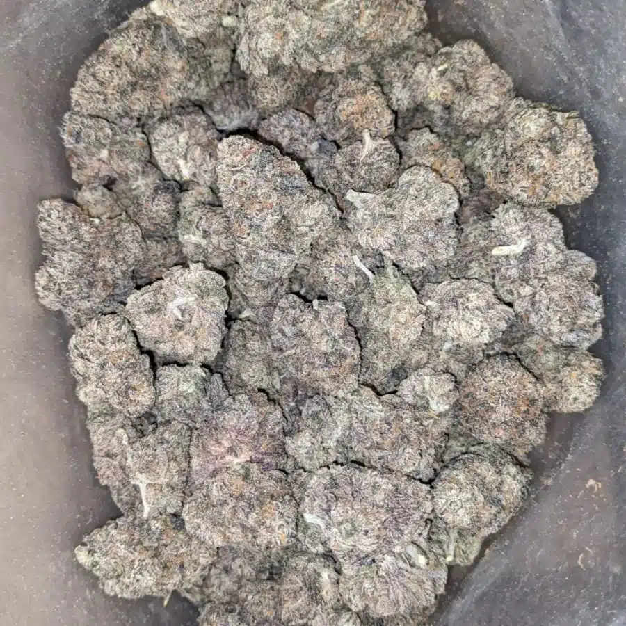 Purple runt 1 I Purple Runtz