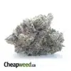 Rockstar Kush