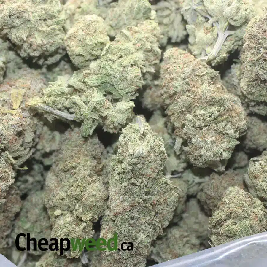 ROMULAN 1 I $ 50 Oz - Romulan