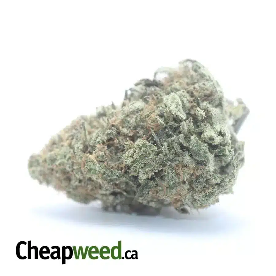 $ 50 Oz - Romulan