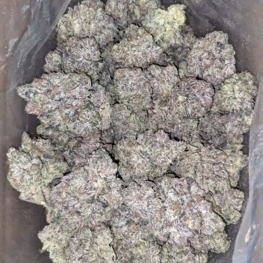 Rockstar Kush 3 I Rockstar Kush