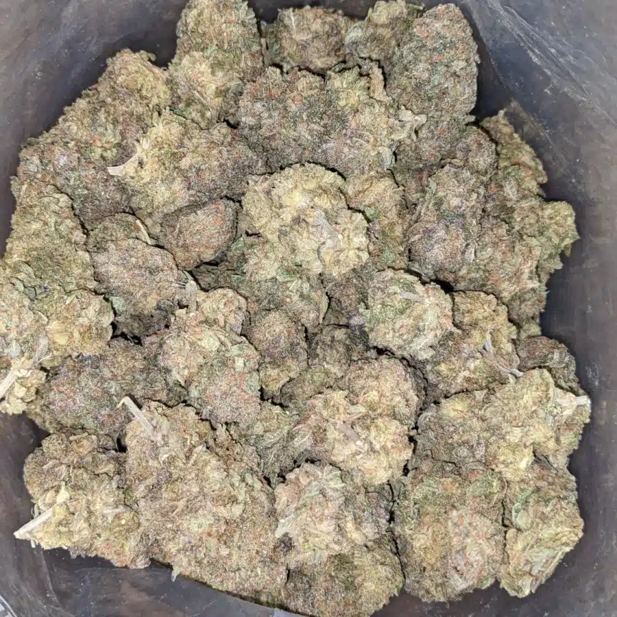 Runtz 1 I $ 44 Oz - Runtz