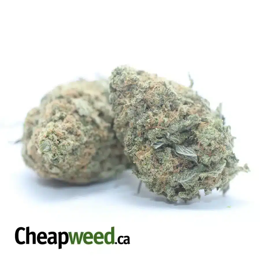 Alternative view of $ 44 Oz - Scout Master Kush