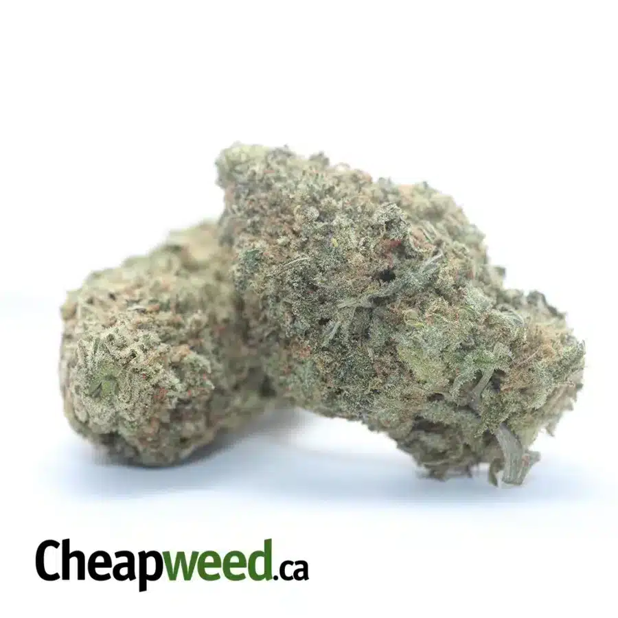 Alternative view of Sherbert