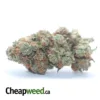 $ 43 Oz - Silver Back