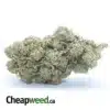 $ 42 Oz - Silver Surfer