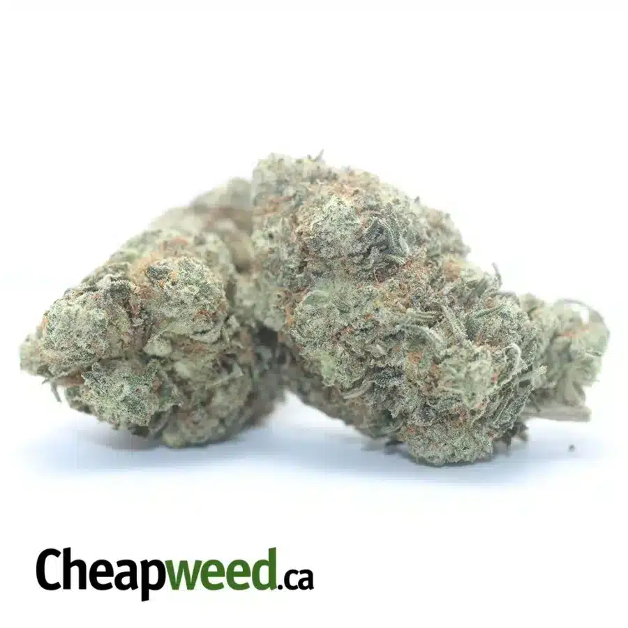 Alternative view of $ 42 Oz - Silver Surfer