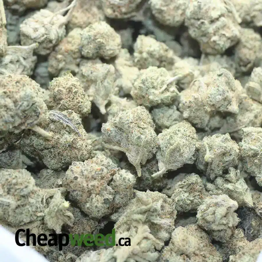 SNOW WHITE SMALLS 1 1 I Snow White Cookies