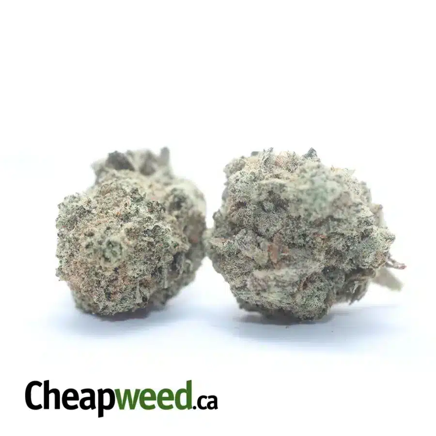 SNOW WHITE SMALLS 3 1 I Snow White Cookies