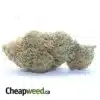 Strawberry Cough