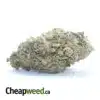 Sweet Kush Bulk Special