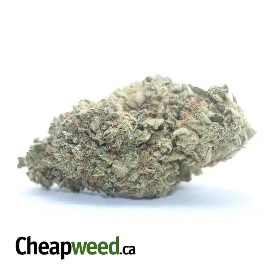 Sweet Kush Bulk Special
