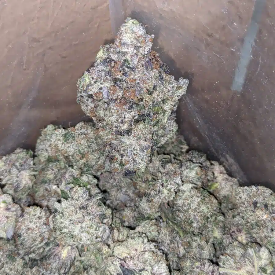 Skywalker 1 I Skywalker OG AAAA