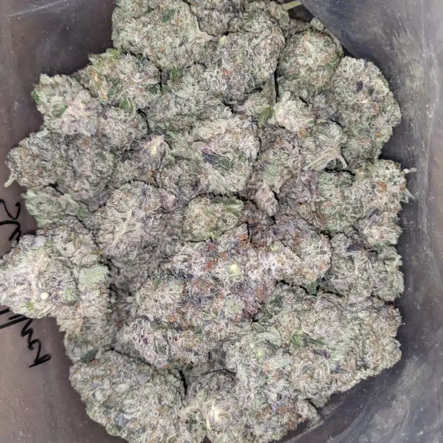 Skywalker 3 I Skywalker OG AAAA