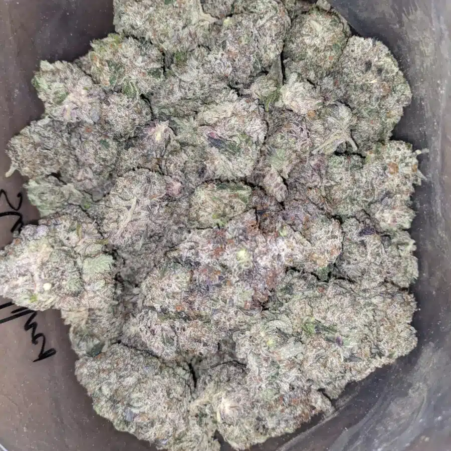 Skywalker 4 I Skywalker OG AAAA