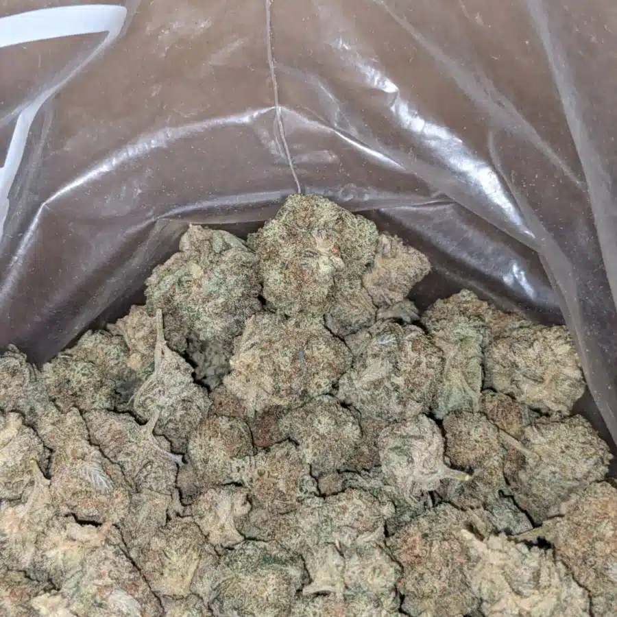 Snow white smalls 1 I Snow White Cookies