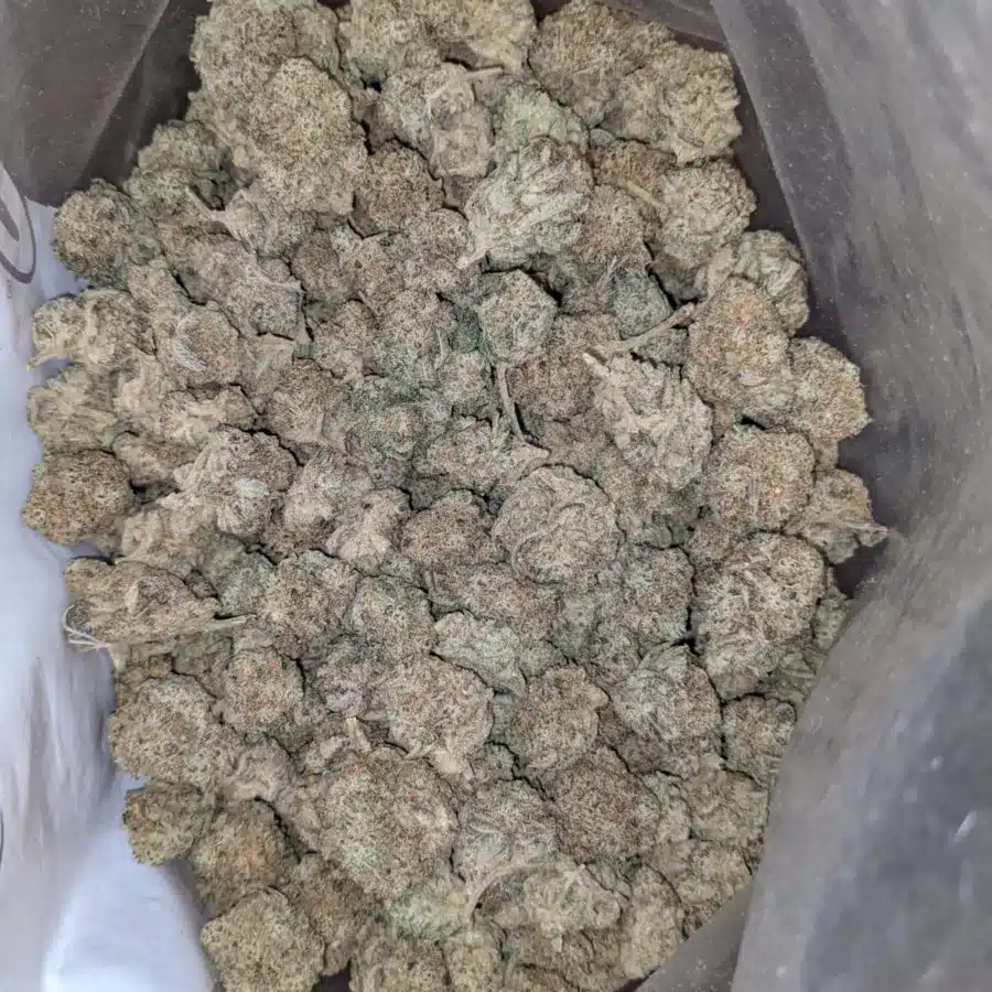 Snow white smalls 2 I Snow White Cookies